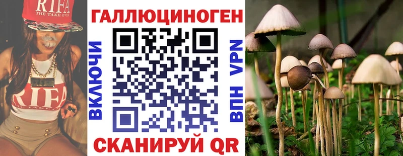 площадка какой сайт  Дзержинск  Псилоцибиновые грибы MAGIC MUSHROOMS  как найти наркотики 